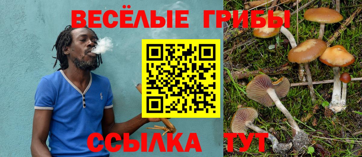 Галлюциногенные грибы Psilocybine cubensis  Вход с VPN  Саров 