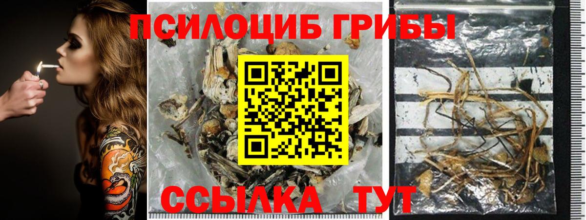 Псилоцибиновые грибы ЛСД Саров